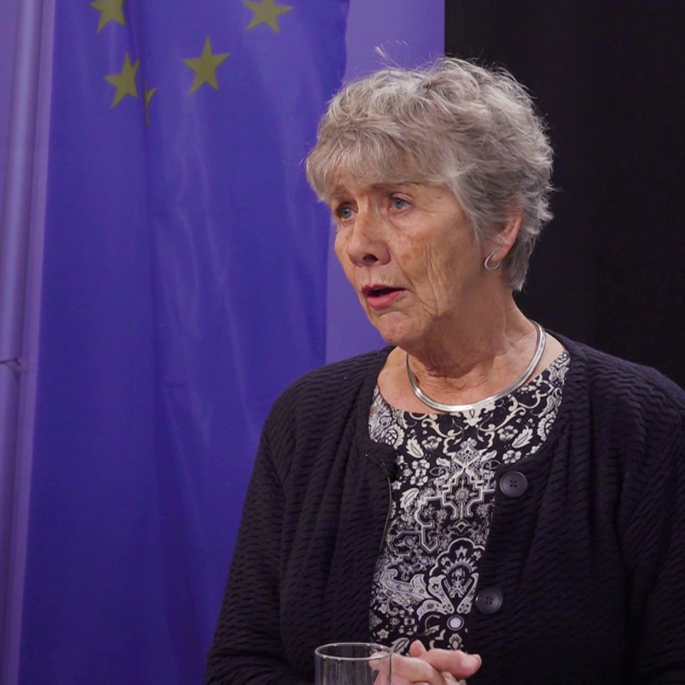 EU Parlamentsvalg 2019 - Margrete Auken (SF)