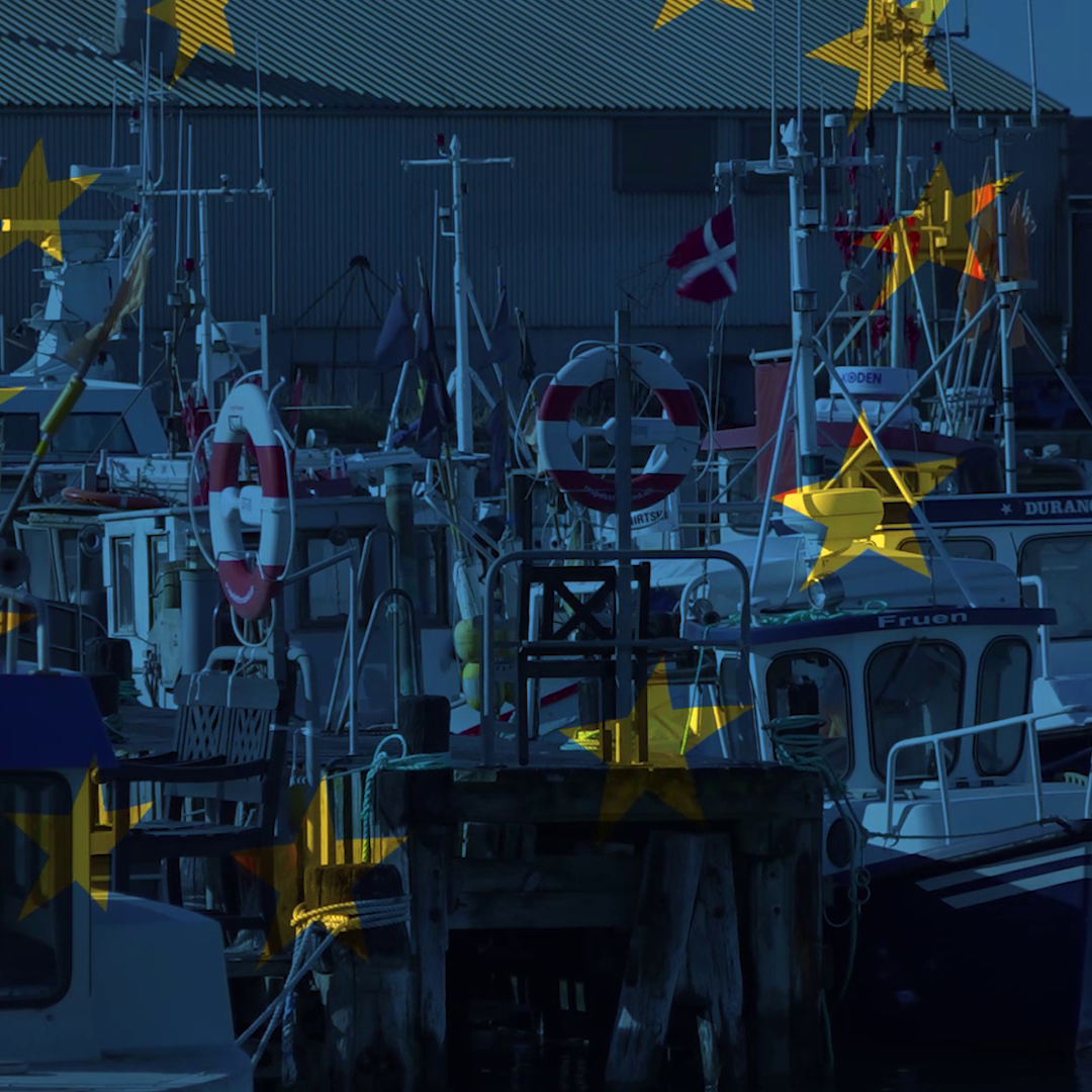 Dansk Fiskeri efter Brexit - afsnit1